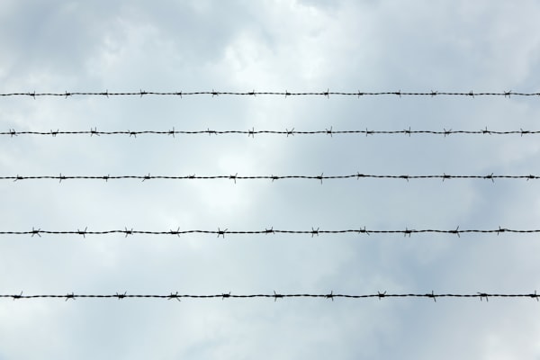 Commercial electric fence for plazas and buildings